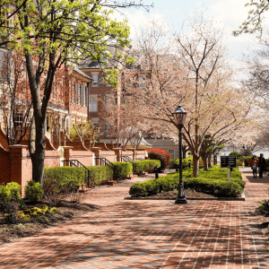 alexandria va property management